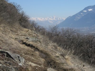 Au loin, le Bietschhorn