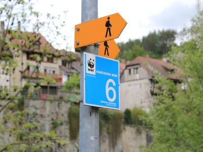 Poste n°6 du parcours WWF