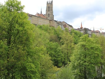 Vue depuis le chemin des Archives, sous le pont de Zaehringen
