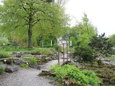 Jardin botanique de Fribourg