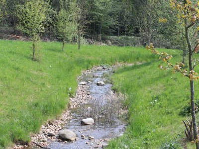 En pleine nature