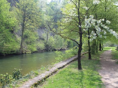 Sur le chemin du retour, en direction de Boudry