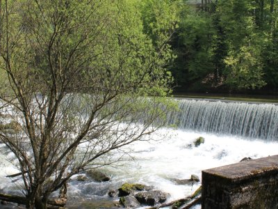 L'Areuse