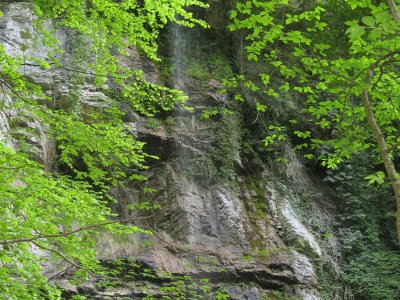 Falaise