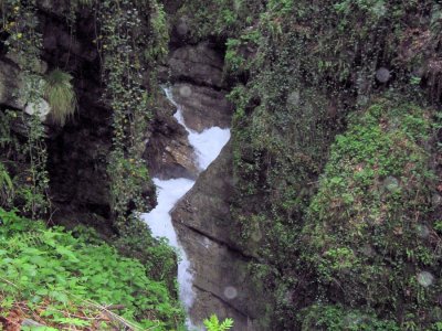 Gorge profonde et végétation