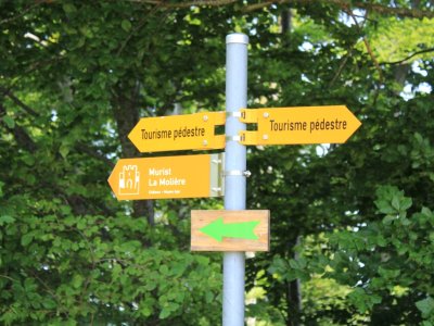 La dernière ligne droite avant la tour