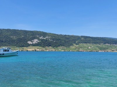 Le lac de Bienne et les vignobles en face de l'Île St-Pierre