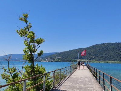 Débarcadère à l'Île St-Pierre