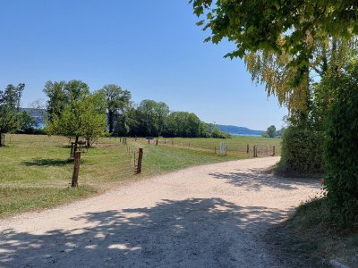 Chemin faisant le tour de l'île