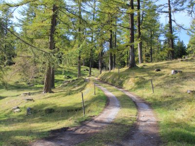 Première partie du Sentier des Mines