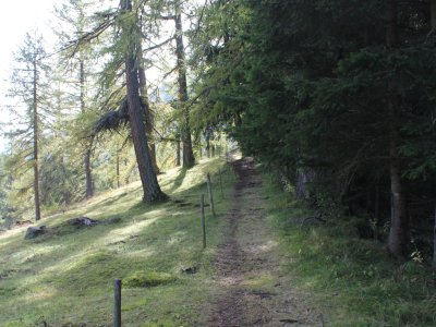 Sentier longeant la forêt où nous avons vu des écureuils