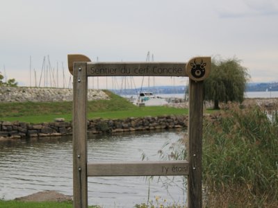 L'arrivée du Sentier du Cerf