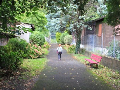 Début du sentier
