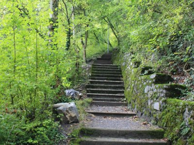 Les premières marches d'escalier