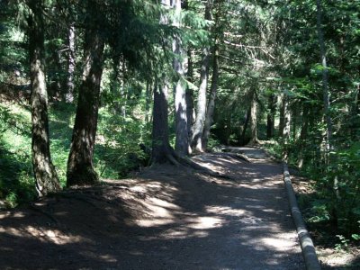 Ombragé à souhait