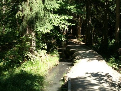 Le bisse