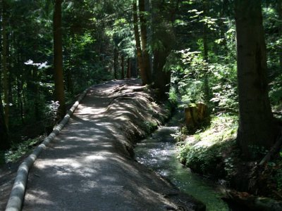 Le long du bisse