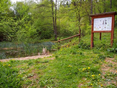 Etang & biodiversité
