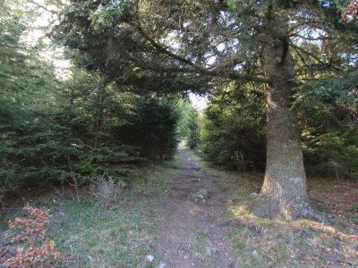 Le sentier
