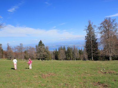 Pâturage avec vue sur le lac