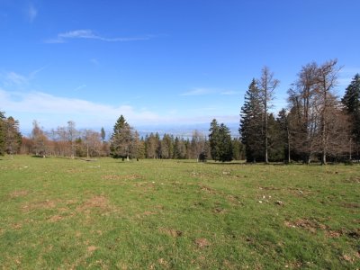 Au fond, les trois lacs (Neuchâtel, Bienne et Morat)