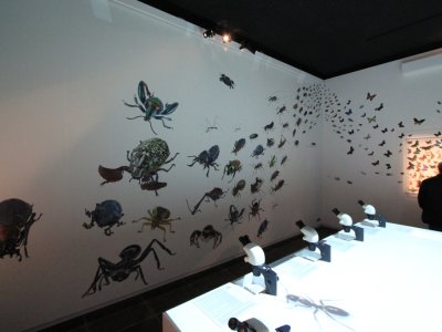 Insectes
