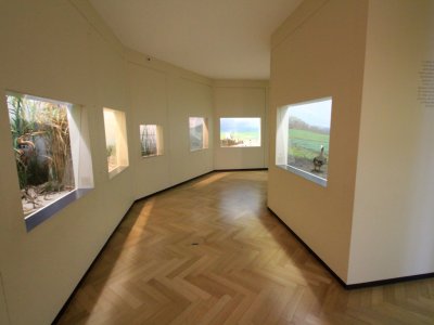 La salle des oiseaux