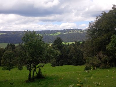 La descente
