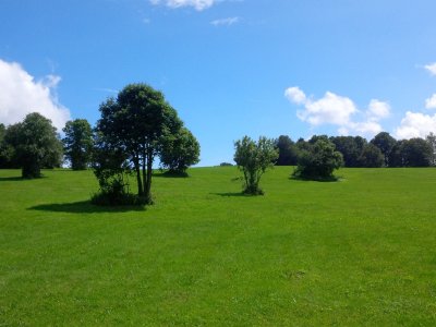 Sur le chemin du retour