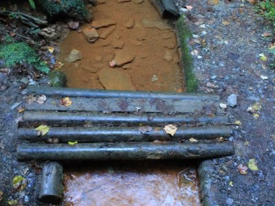La source de Saillon