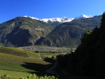 Vue depuis le chemin viticole, juste à côté de la source
