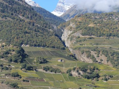 Saillon (les Bains) et au fond la Passerelle à Farinet