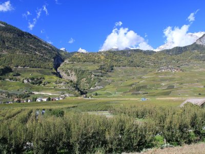 Vue depuis la rive du Rhône