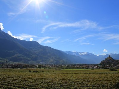 La vallée du Rhône