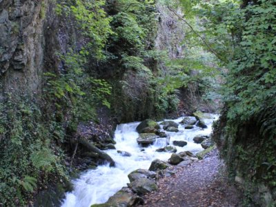 La Salentse