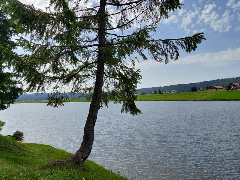Lac des Taillères (été)