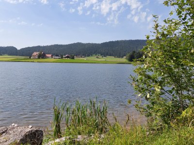 Le lac des Taillères