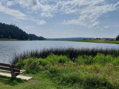 Quelques bancs se trouvent sur les rives du lac des Taillères