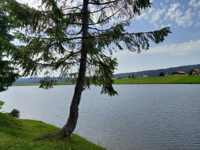 Le lac des Taillères