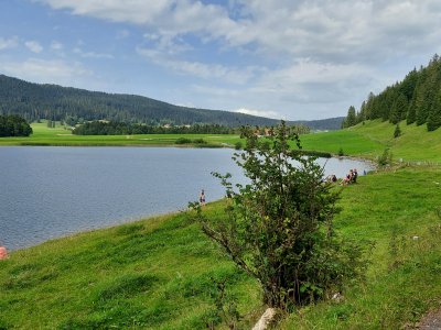 Les berges du lac des Taillères est propice au farniente