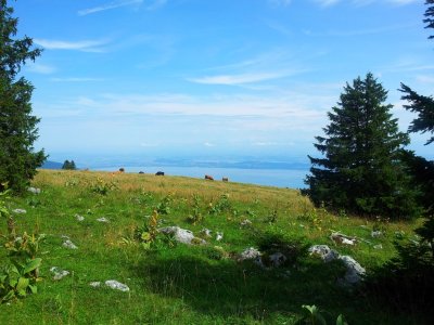 En venant de la Grande Sagneule, premier coup d'il sur le lac
