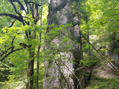 Falaise rocheuse