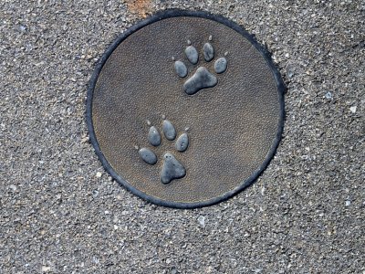 Emprunte à découvrir le long du chemin