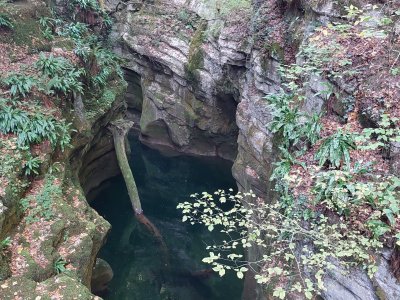 L'Areuse, au fond des gorges