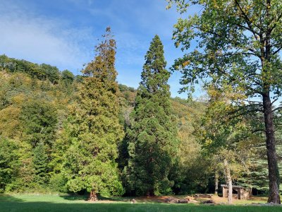 Le Pré des Clées, ses magnifiques arbres et sa place de pique-nique