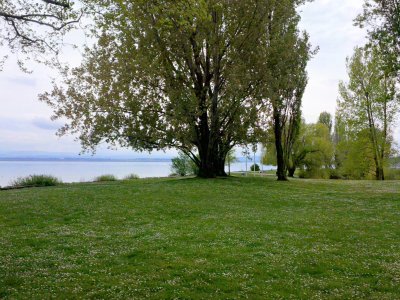 Au bord du lac