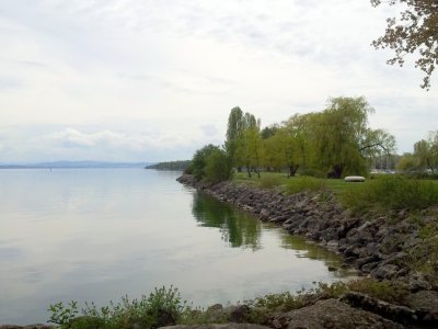 Le bord du lac