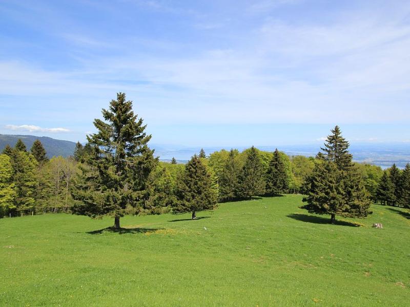 Mont Aubert