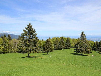 Depuis le Mont Aubert, la vue est magnifique