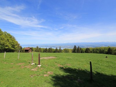 Vue depuis la terrasse du restaurant d'alpage